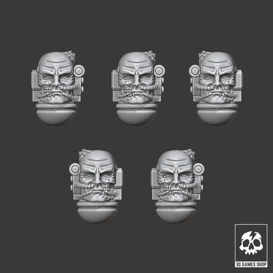 Veteran Head Upgrade Set V1 x10