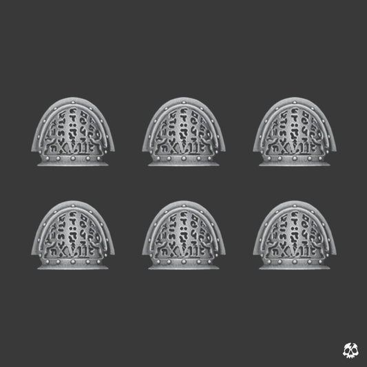 XVII Shoulder Pad Upgrade Set V6 x10